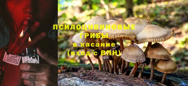 кокс Аркадак