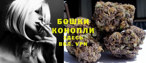 прущие крисы Арсеньев