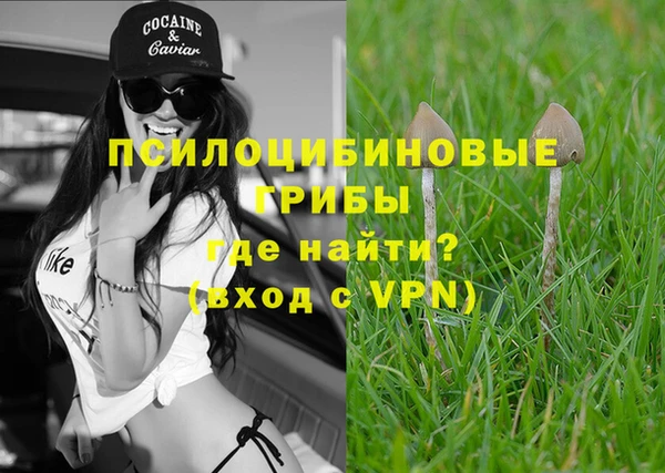 кокс Аркадак