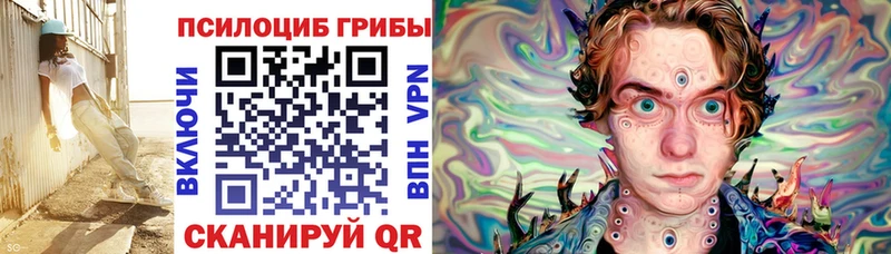 наркотики  Калач-на-Дону  Псилоцибиновые грибы Psilocybe 